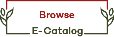 katalog