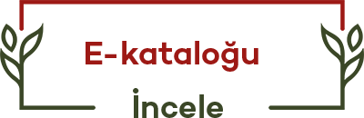 katalog